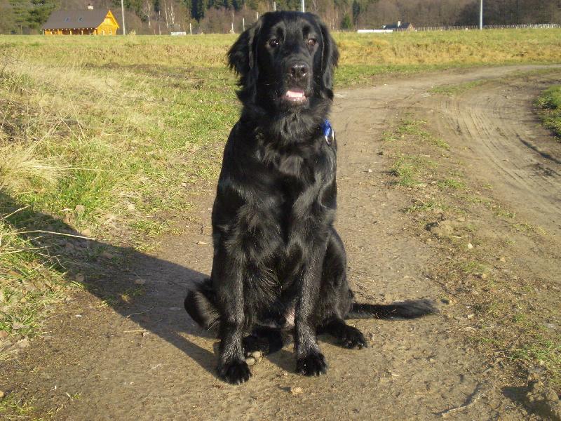 Foto: Co to tam vid�m???