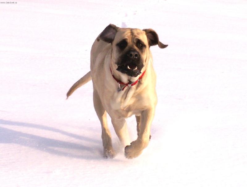 Foto: je�t� jednou Terezka!