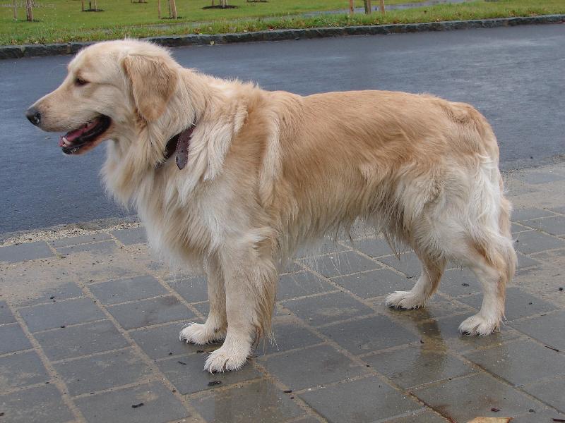 Foto: Arki-v cel� sv� kr�se