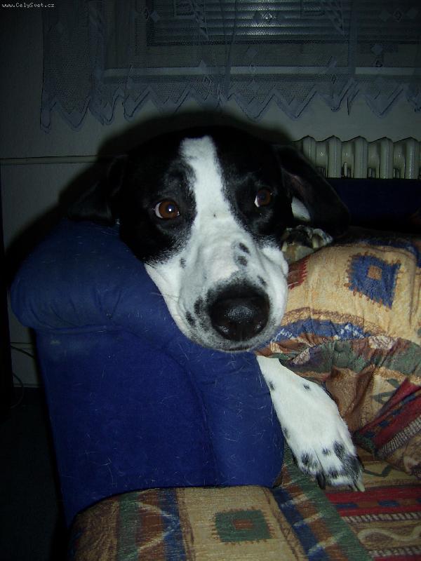 Foto: End�k-Hajinky