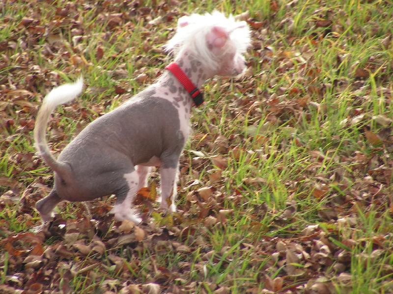 Foto: Ka�enka-nekoukat,��r�m