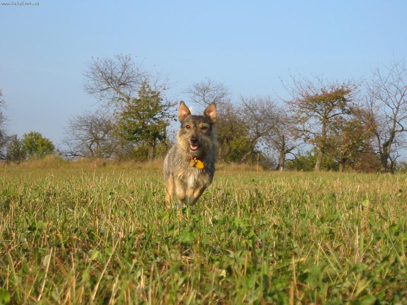 Foto: Enny-Co to zde moje u�i sl���????