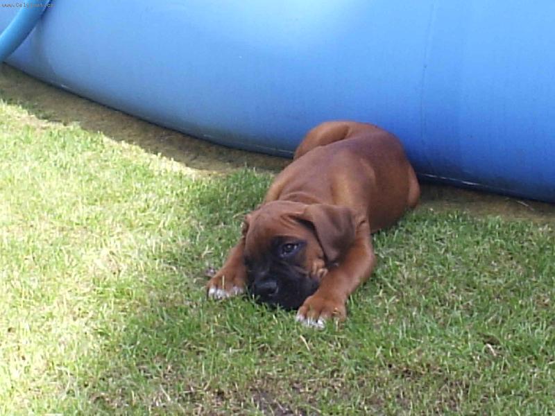 Foto: Jen si tak kouk�m :)