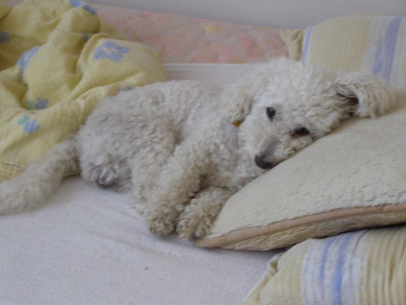 Foto: Ando�ek!-n� mil��ek:)