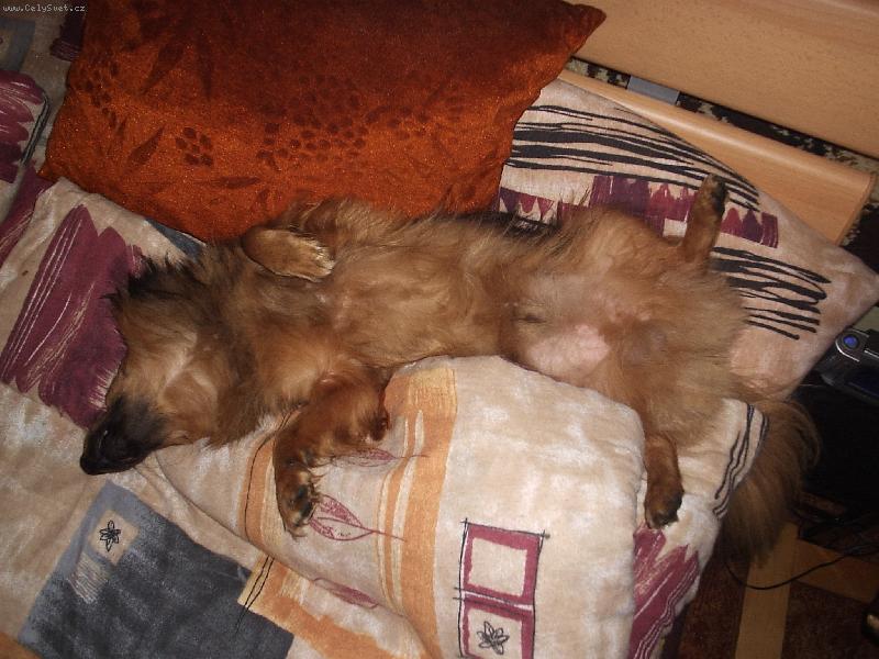 Foto: ZASLOU�EN� ODPO�INEK?