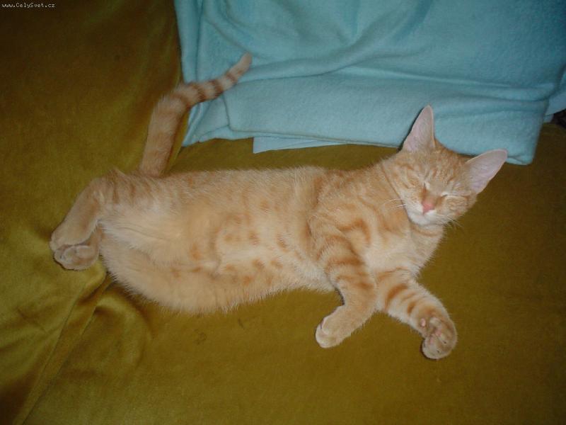 Foto: Jedna z m�ch obl�ben�ch poloh-Zrze�ek p�i odpoledn� siest�