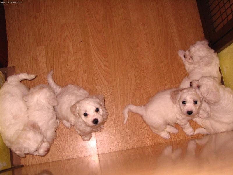 Foto: Rodinka-H�dejte,kter� je ten n�?