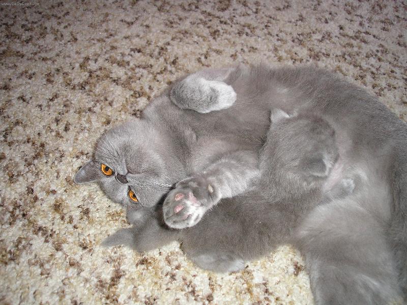 Foto: vzorn� m�ma