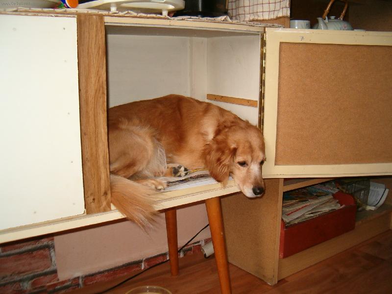 Foto: N� Endy-Jak si kdo ustele, tak si lehne