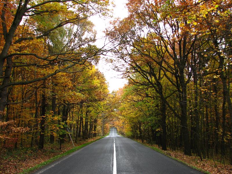 Foto: Podzim-Podzimn� krajina