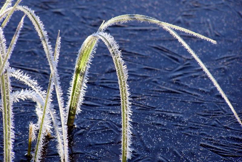 Foto: Zima-led a n�mraza