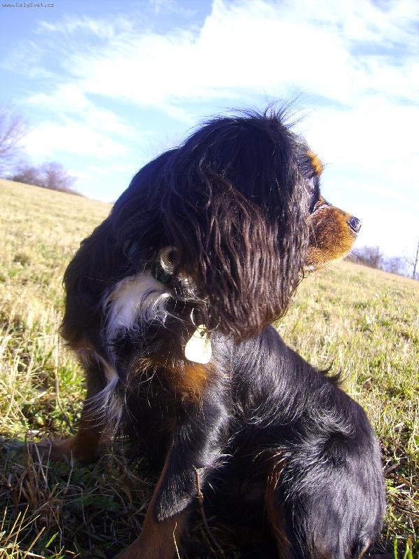 Foto: Ohl�dnut� se