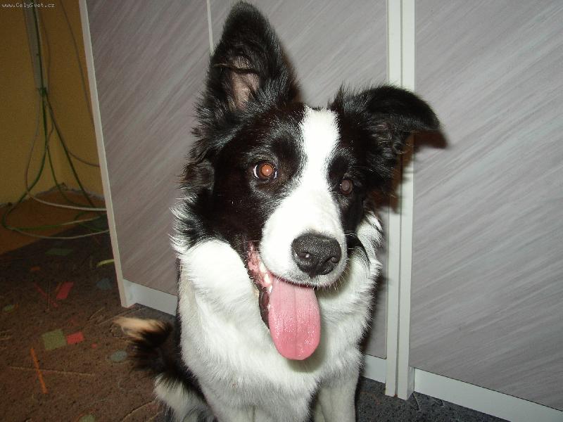 Foto: �ja-ucho dolu