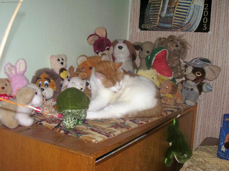 Foto: umyt� mus� b�t i obsah tal��e