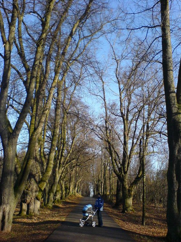 Foto: proch�zka Z�meckou �lej�