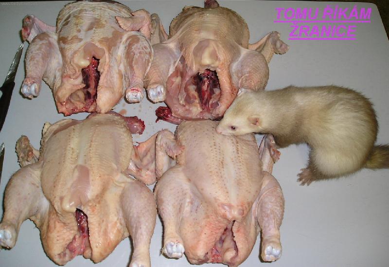 Foto: Fret�� �ranice