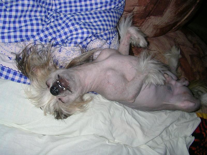 Foto: J� spink�m!!