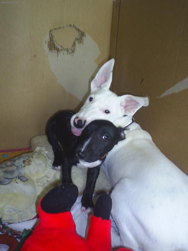 Foto: Danny a Ozzy-My se neperem...