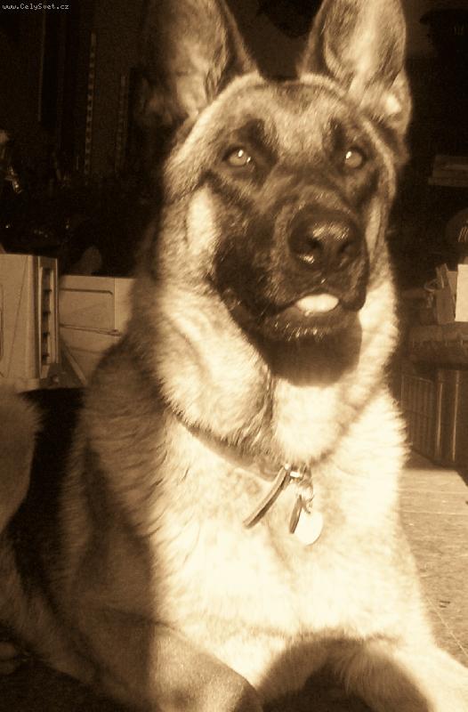 Foto: *Kerry*-Kerru� kouk� n�kam pry�...