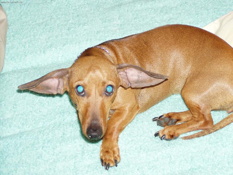 Foto: ufonek-ufoonek :D