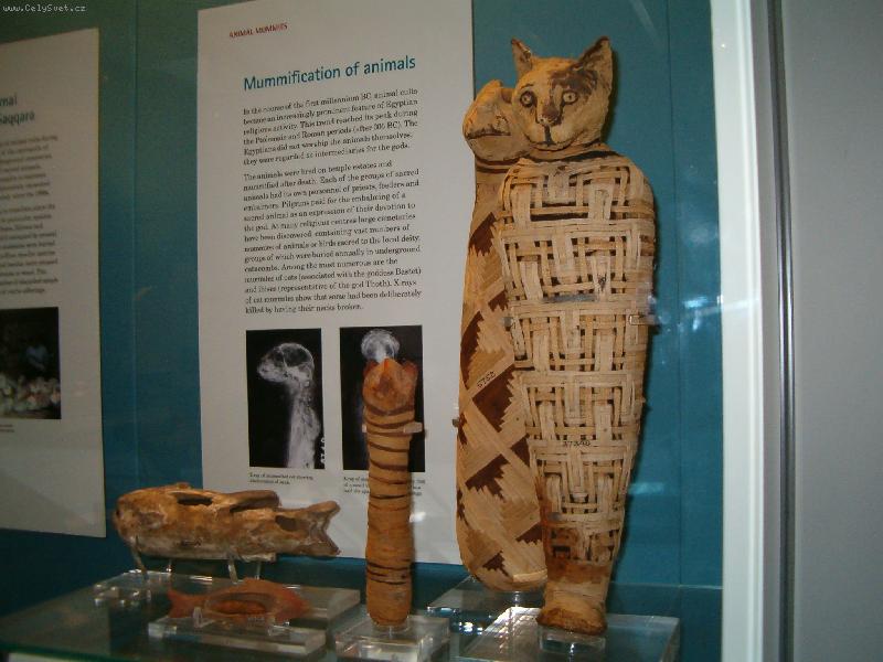 Foto: posv�tn� ko�ka :-)-mumie ko�ky v Britsk�m muzeu v Lond�n�