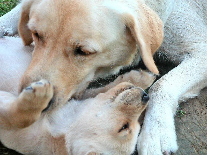 Foto: �es� a mal� �t�n�k-...doba hran�...