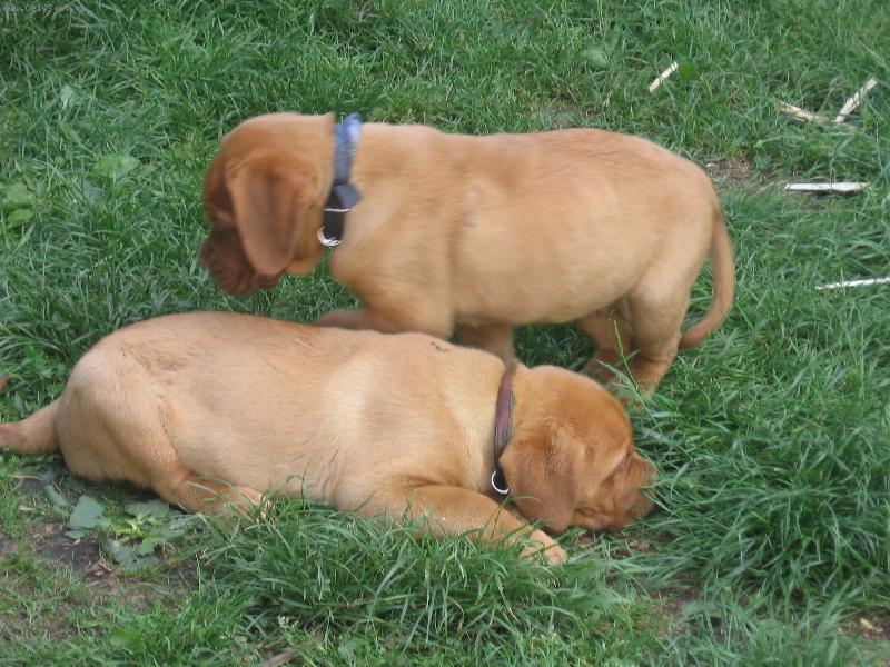 Foto: Mil��kov�