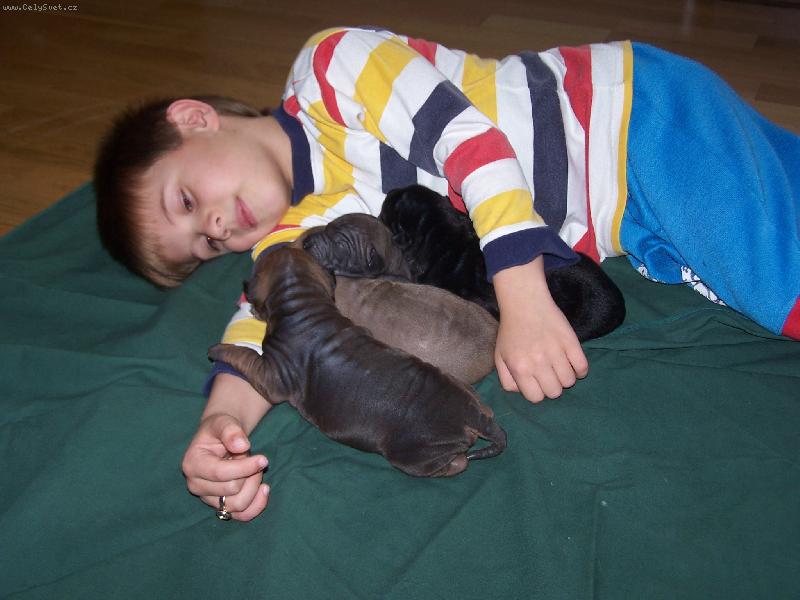 Foto: Na�e ch�va