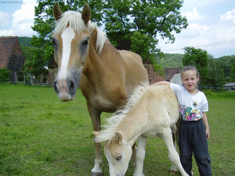 Foto: na�i mil��kov�