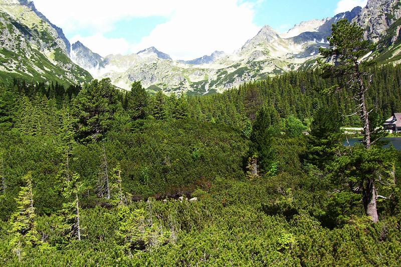 Foto: Tatry