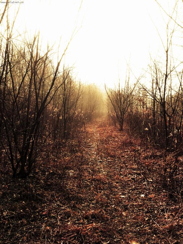 Foto: na mesici u bybicky