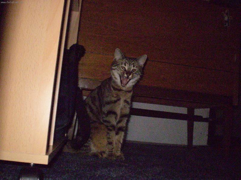 Foto: HAHA v�echny v�s se�eru:-)-Bude �ranice :-)