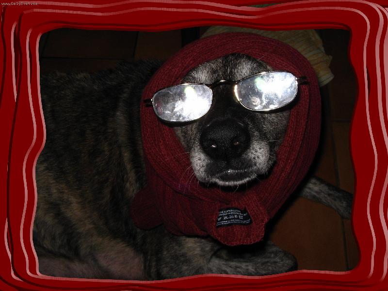 Foto: Catty....my name is Catty :)