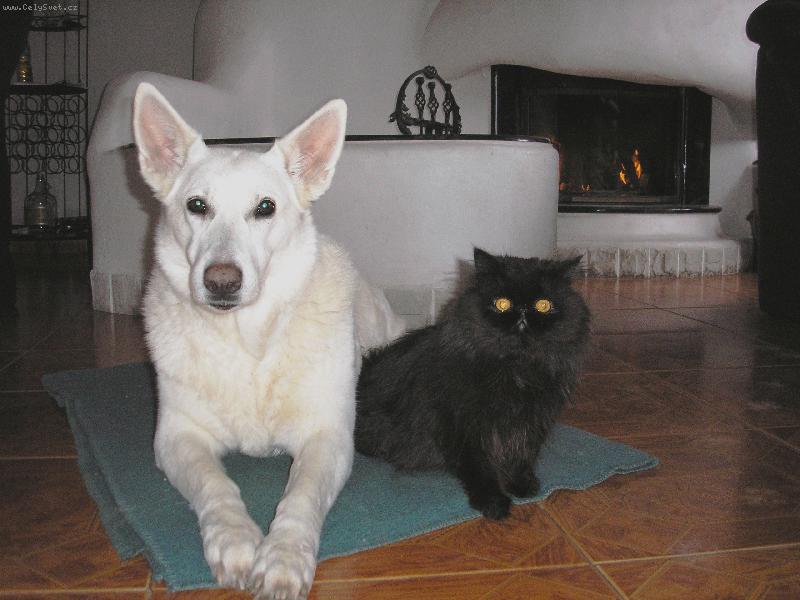 Foto: j� a n� pes-kocour Pucci