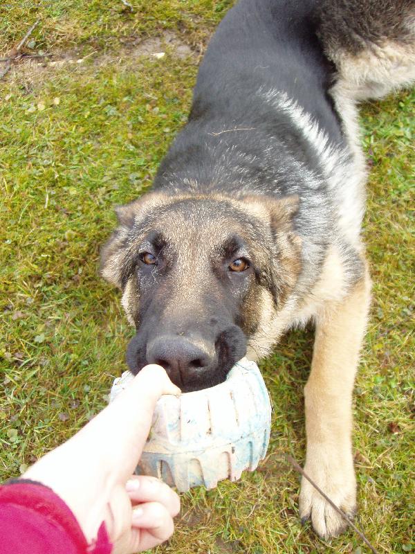 Foto: J� to nepust�m! A co ty?