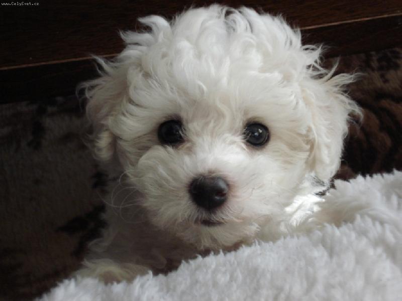 Foto: Jsem tak nesku�enej...