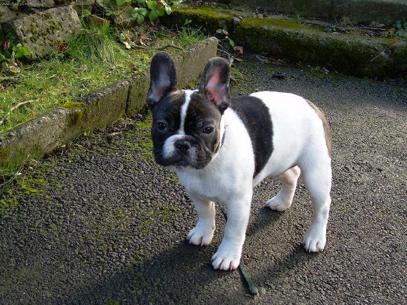 Foto: na�e zlat��ko