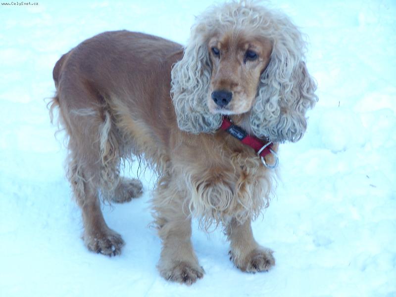 Foto: Na�e Terinka