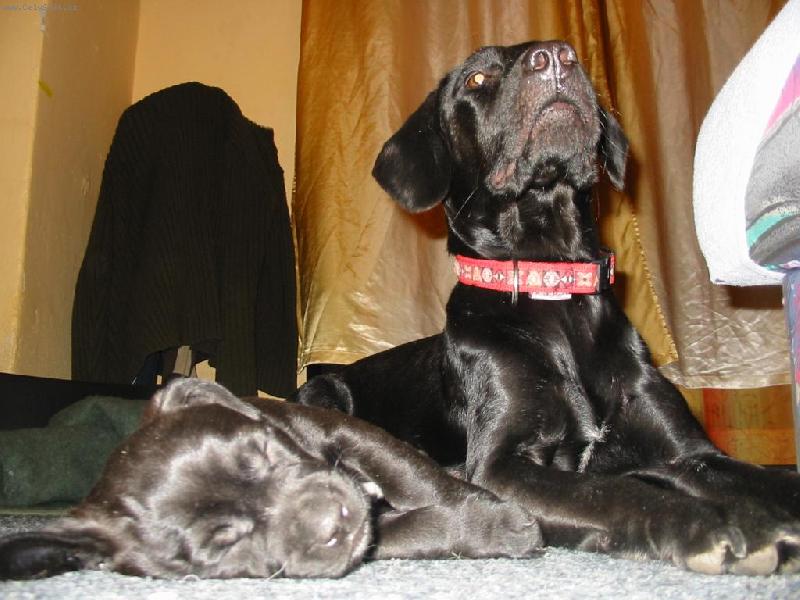 Foto: matka se �t�n�kem-na�i dva