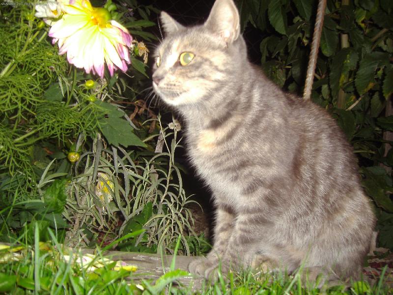 Foto: no�n� lovec