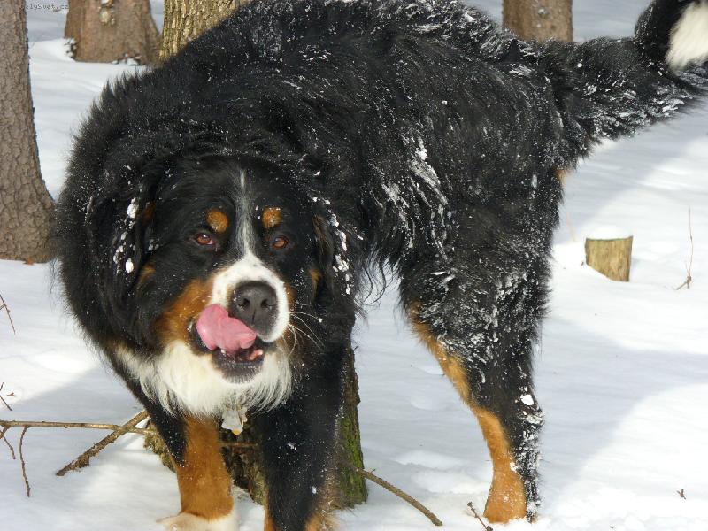 Foto: Bad-B�da jak mi ty zna�ky zase p�e��r�te!!!