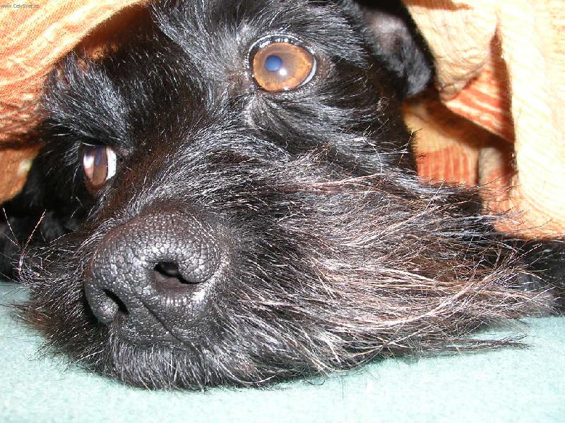 Foto: Mayinka-Vospal�...:-)