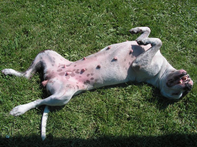 Foto: Sunny-je�t� trochu op�l�me b��ko...