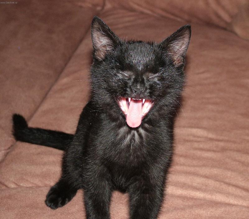 Foto: Mike�ek-Bojte se!!!!!!!!!!!!!!!!!!!!!!!!!