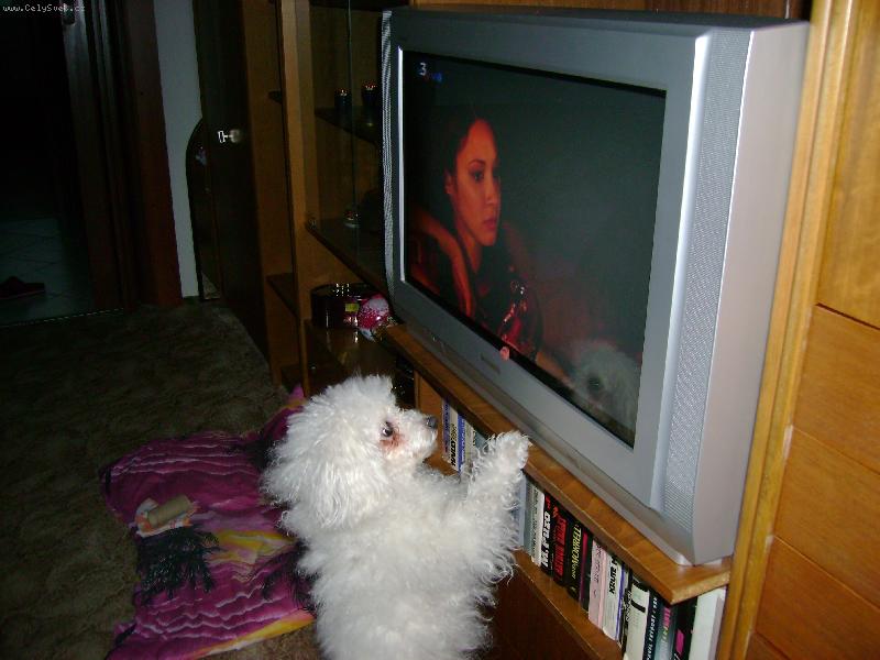 Foto: d�v�m se na televizi