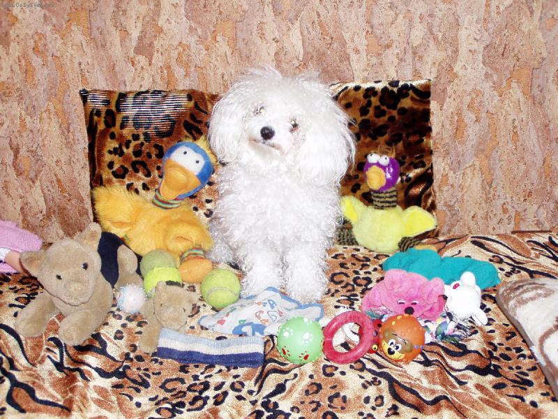 Foto: moje bohatstv�