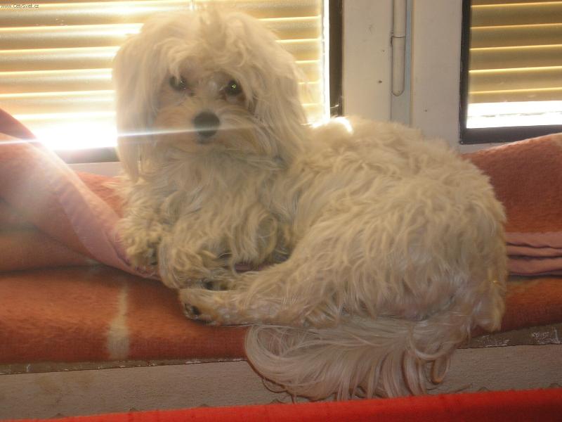 Foto: Nellinka-Pro� m� nenech�te sp�t