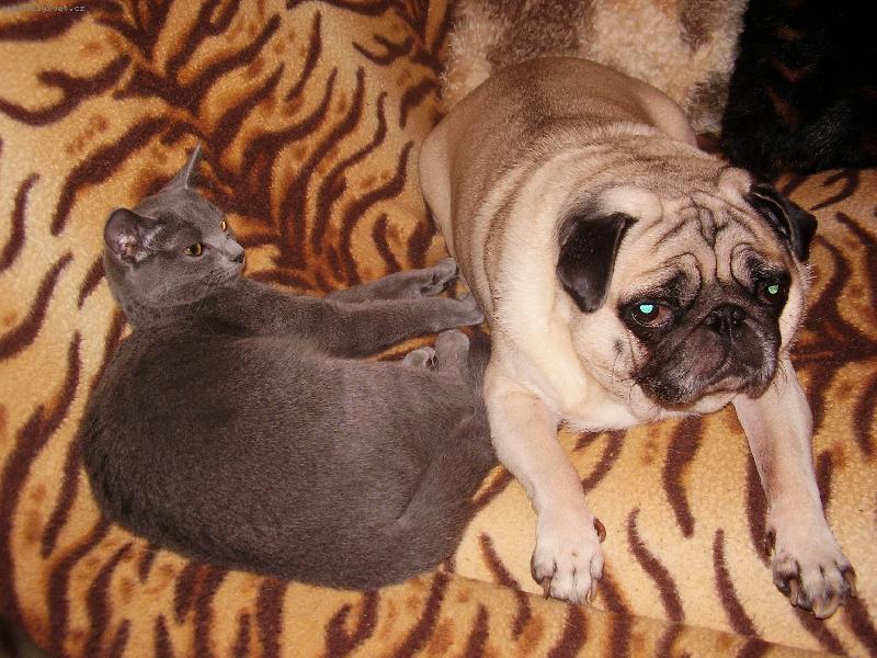 Foto: Dv� kamar�dky-Filinka a Lentilka