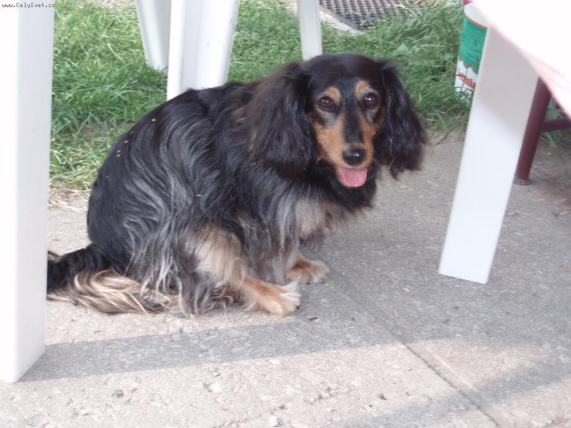 Foto: Pr�v� jsem dob�hla