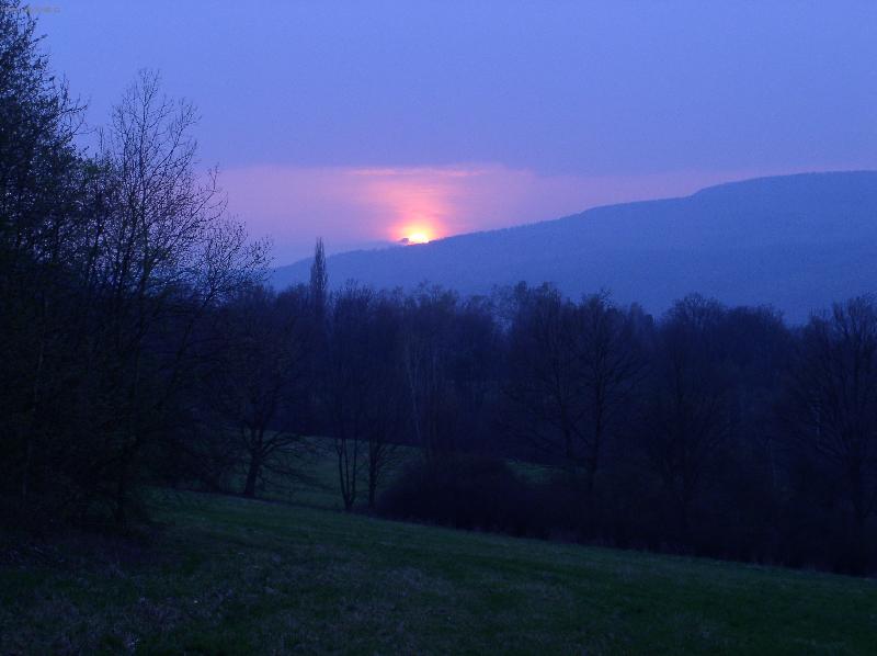 Foto: modra je dobra